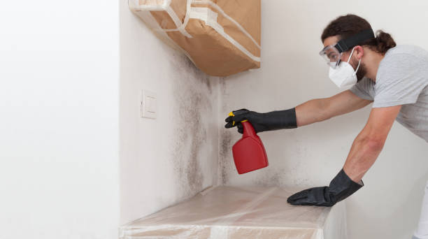 Professional Mold Remediation technician working in Bedminster, NJ