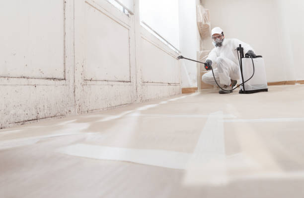 24/7 Emergency Mold Remediation experts in Bedminster, NJ