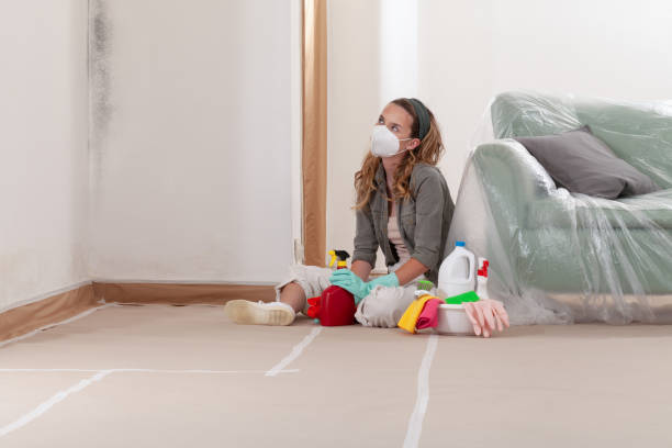 Reliable Mold Remediation contractor in Bedminster, NJ by Mold Remediation HQ